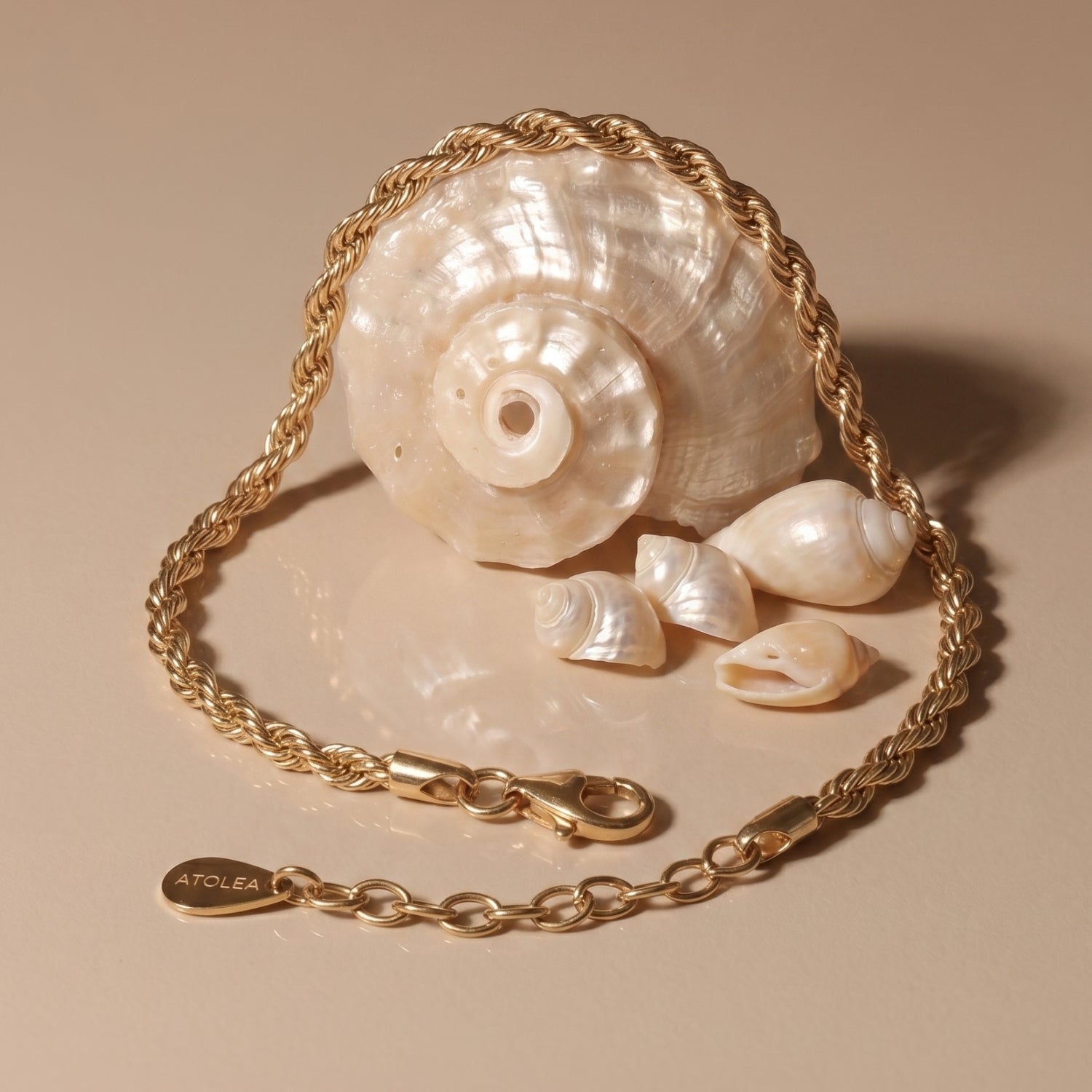 Calvi 14k Gold Rope Chain Bracelet Flat Lay With Shell Background, Twisted Waterproof Jewelry