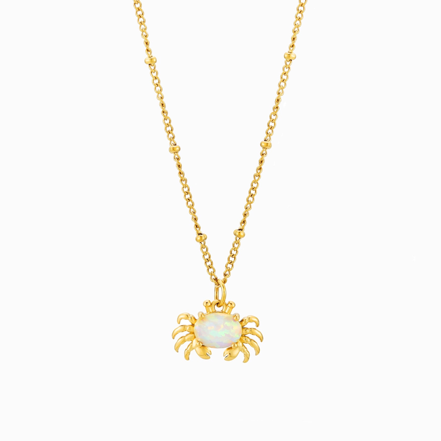Crab Necklace On White Background