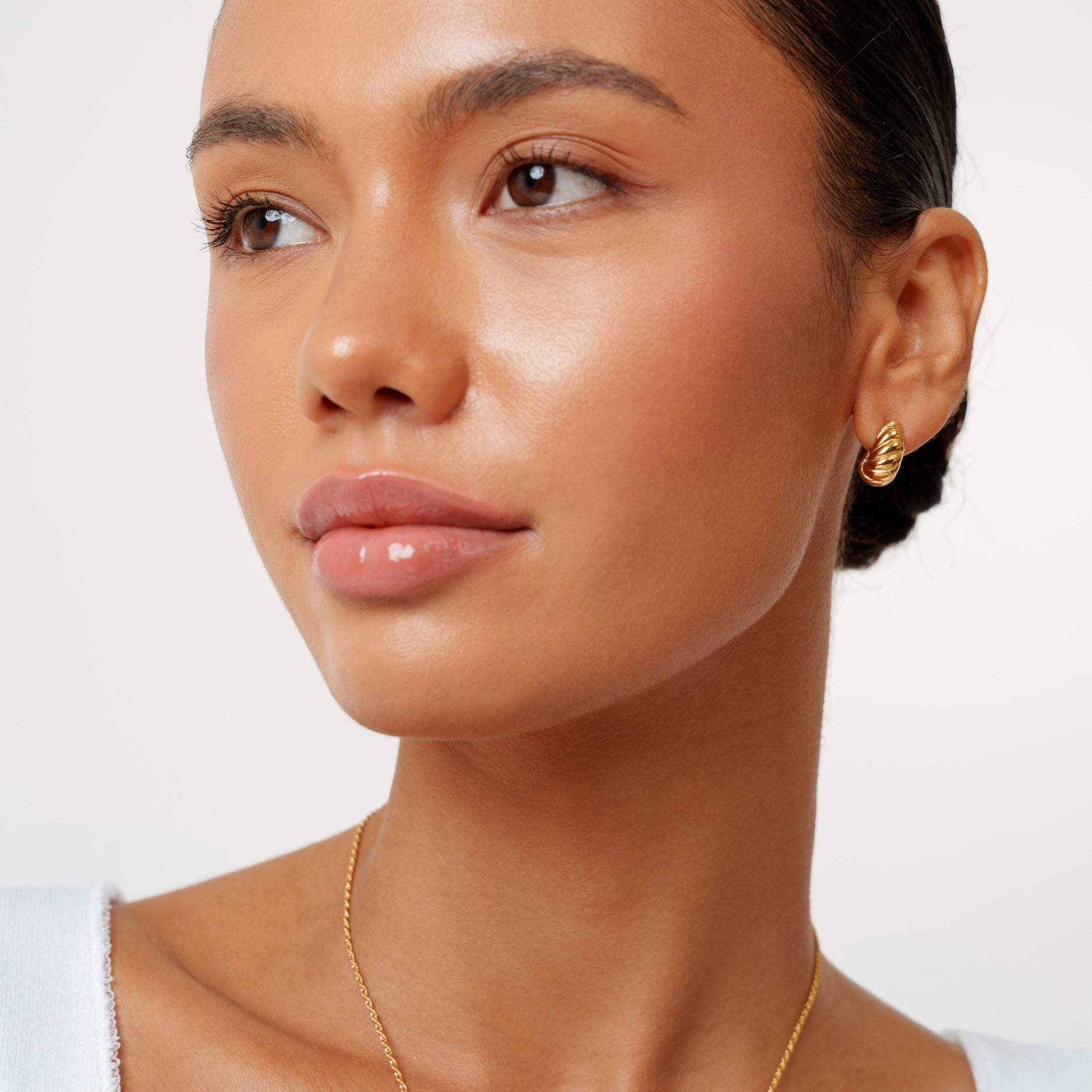 Golden Nautilus Earrings