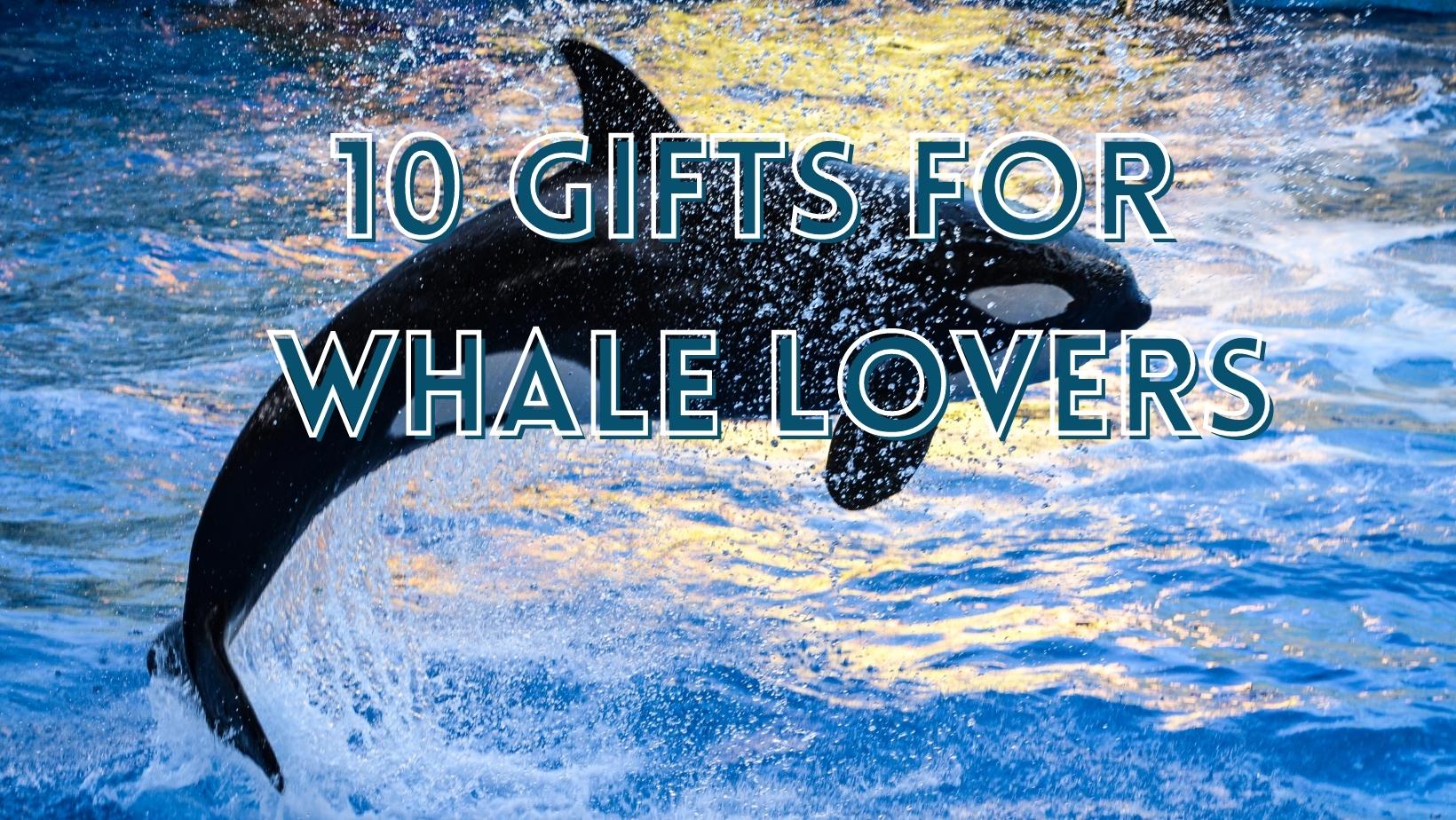 Gift ideas for cheap whale lovers