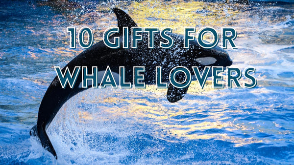 10 Gift Ideas for Whale Lovers