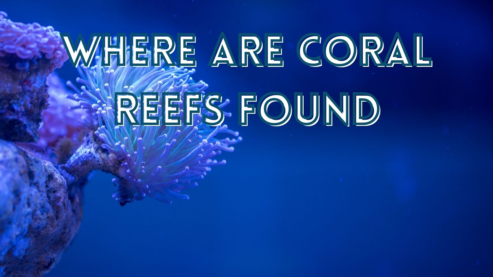 Where are coral reefs found