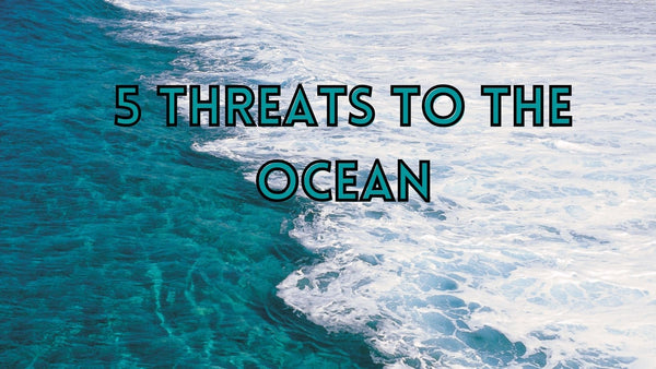 Surprising threats to the ocean
