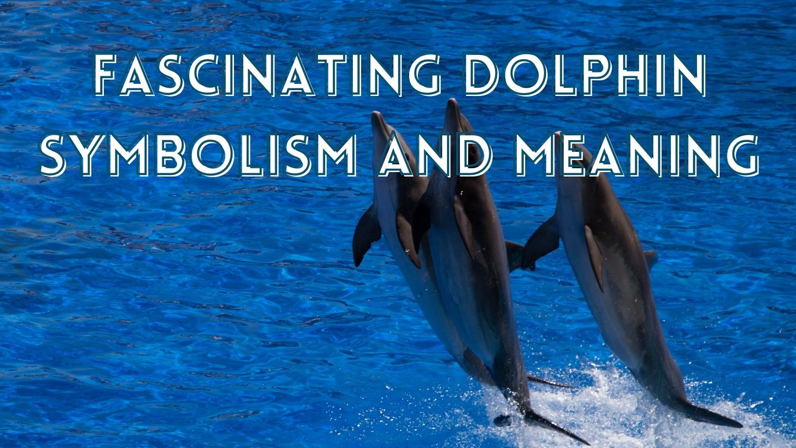 Symbolism and meaning of dolphin