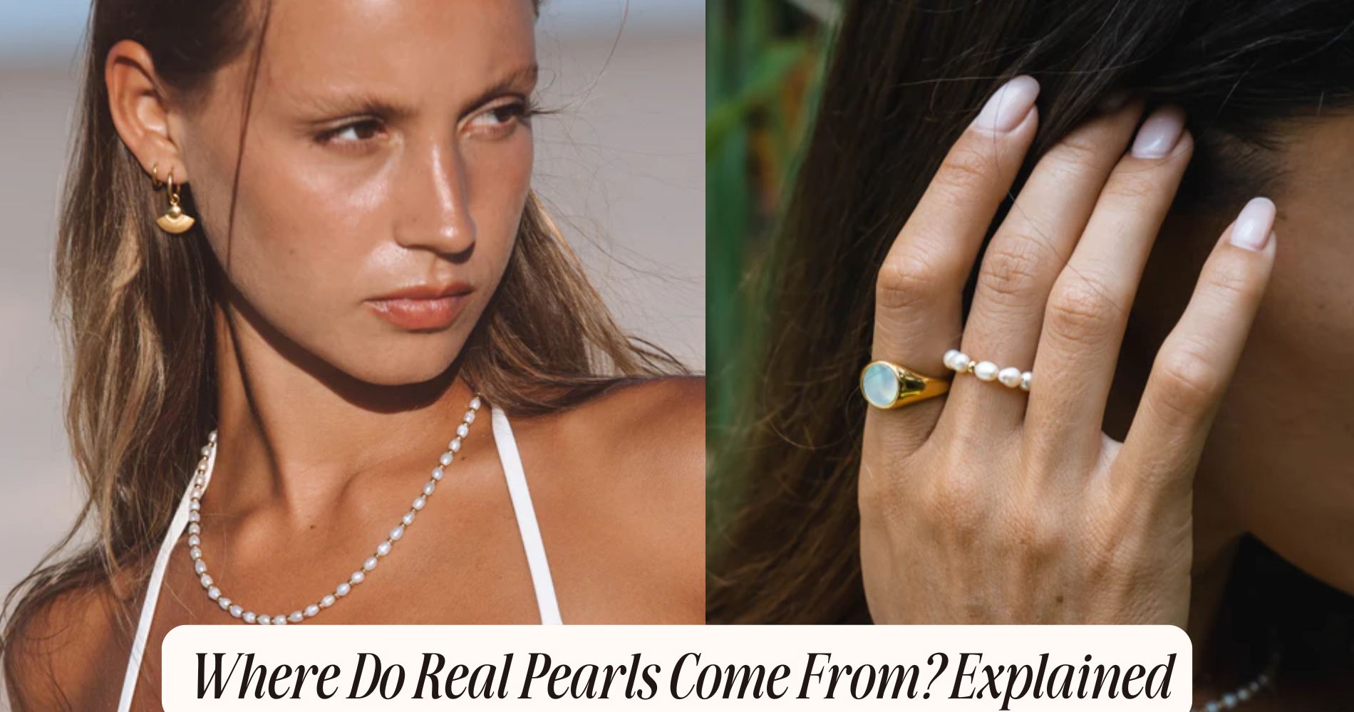 Where Do Real Pearls Come From? Explained