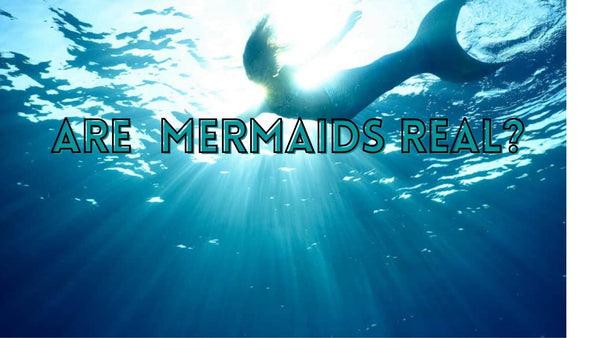 Are Mermaids Real 