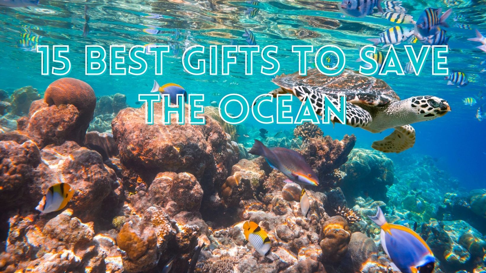 Gifts to save the Ocean