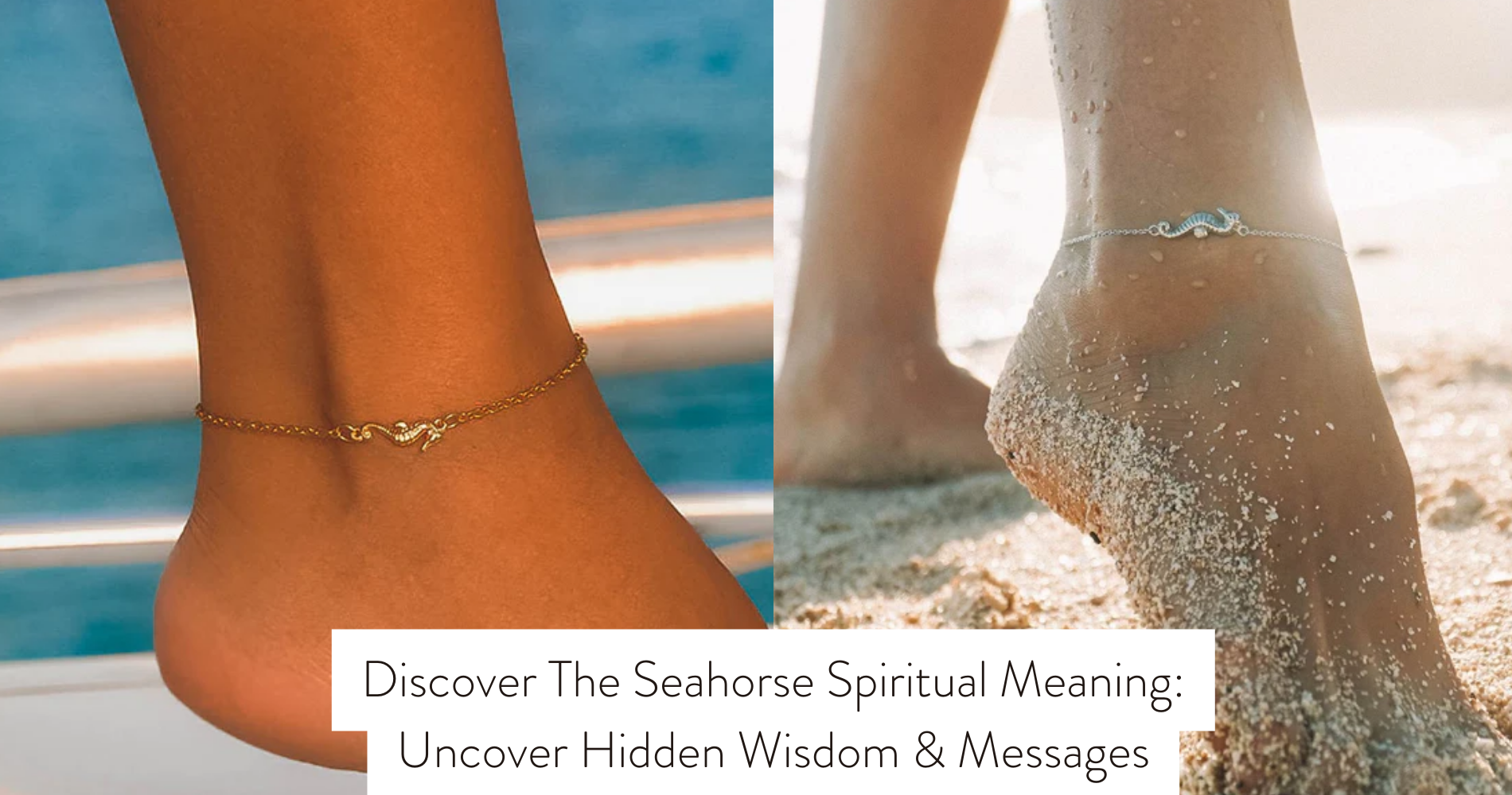 seahorse spiritual meaning