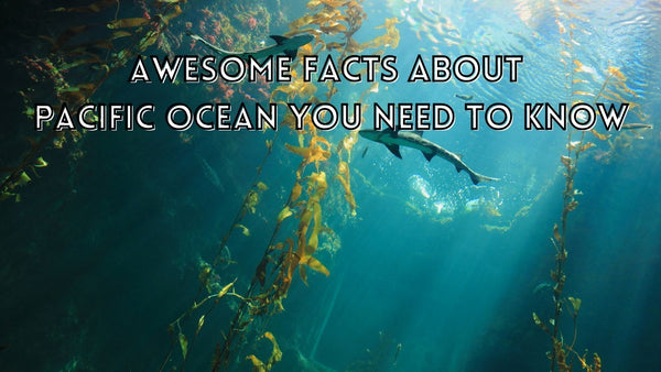Pacific ocean facts