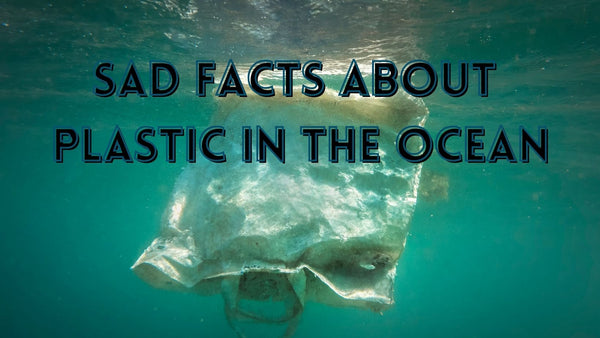 Sad facts about ocean plastics