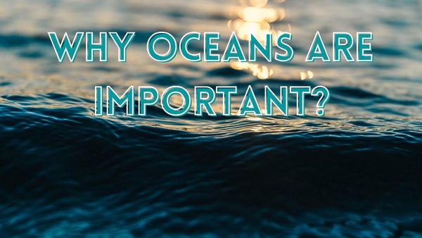 Why Oceans Are Important?