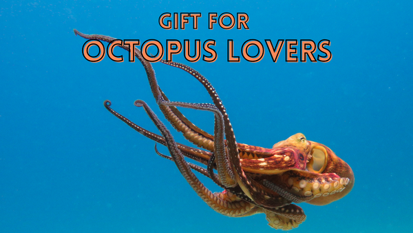 Gifts For Octopus Lover