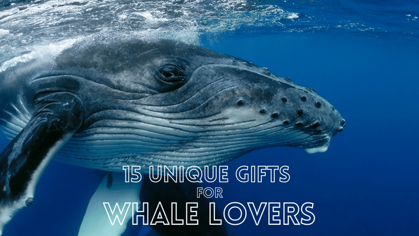 Whale Themed Gifts For Whale Lovers