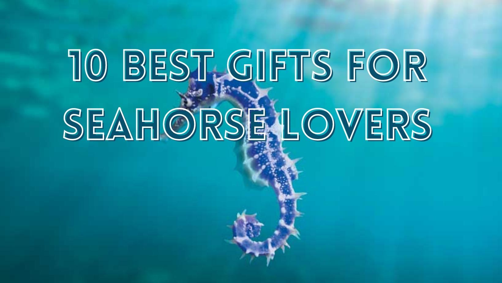 Best gifts for seahorse lovers