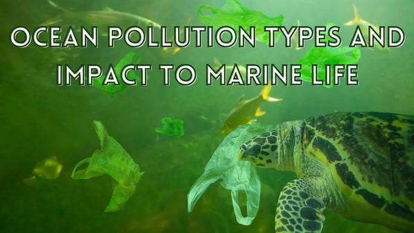 Types of ocean pollution