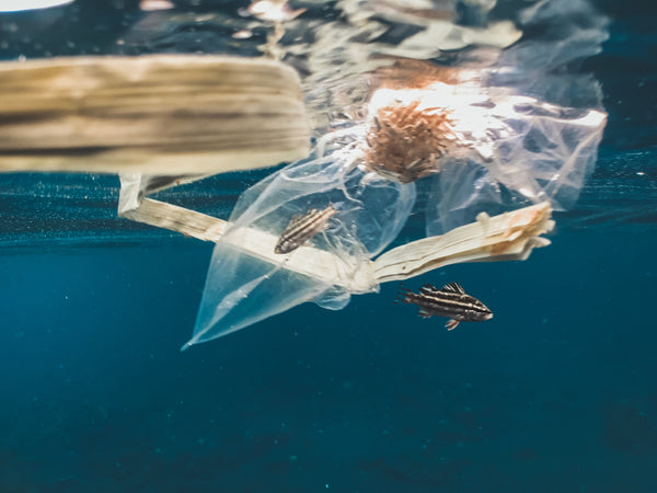 Prevent Ocean Plastic Pollution