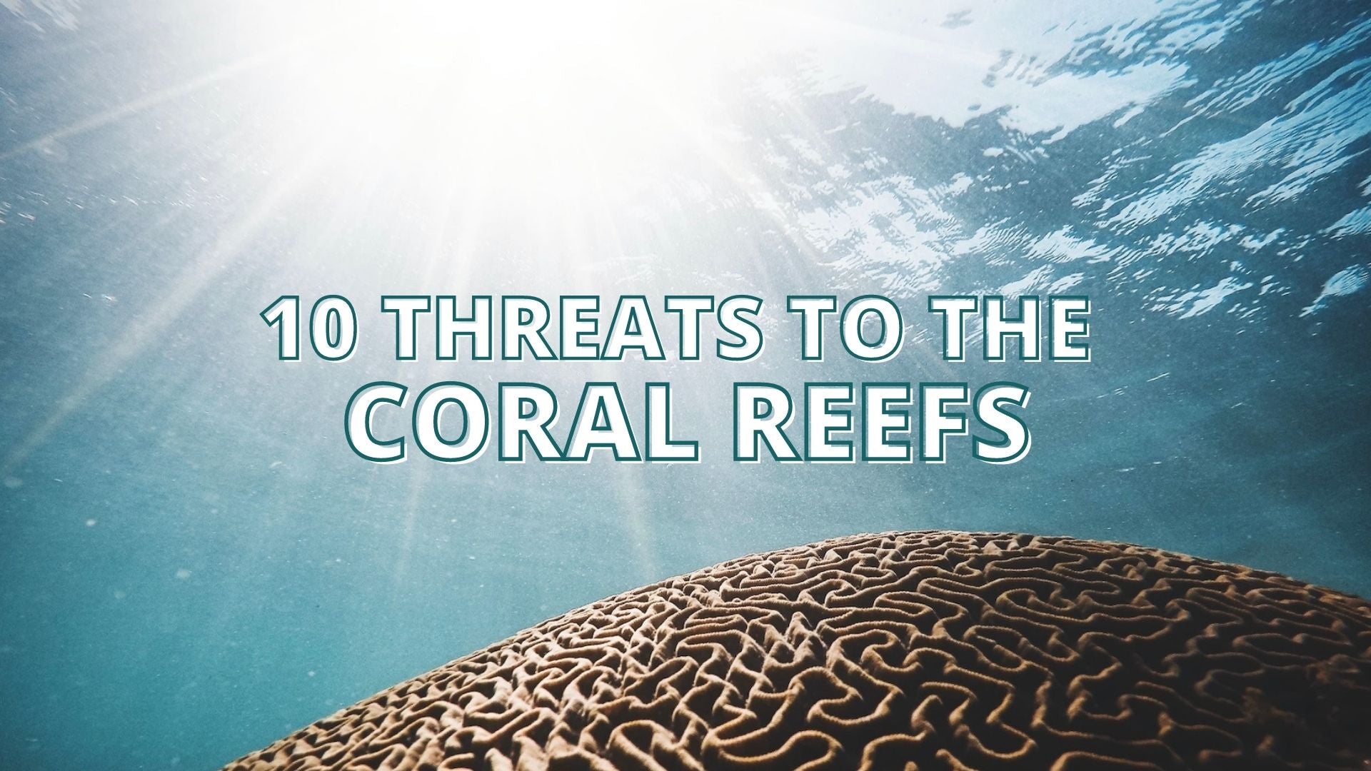 10 Threats to Coral reefs