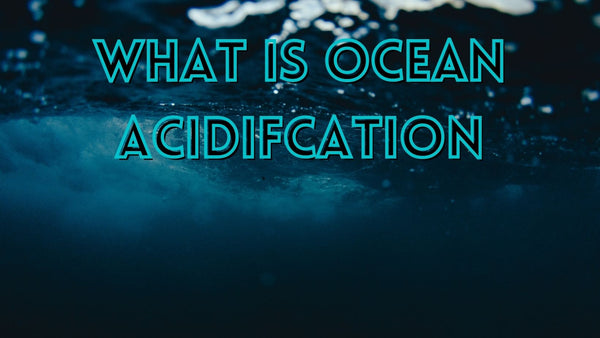 What causes ocean acidification