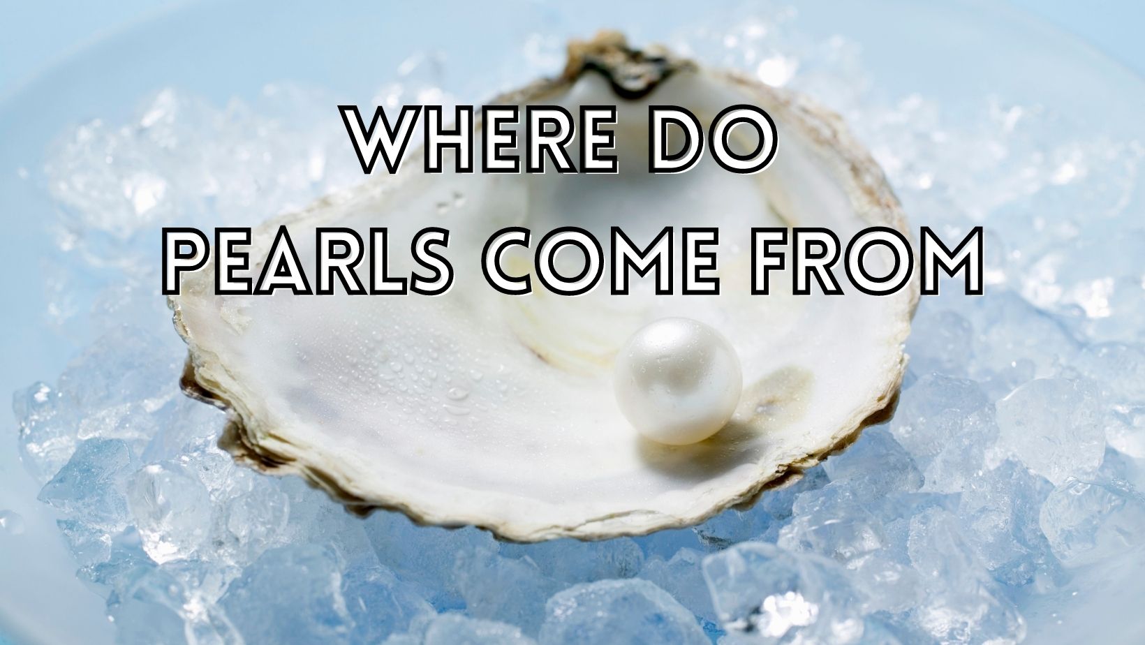 Where do pearls come from