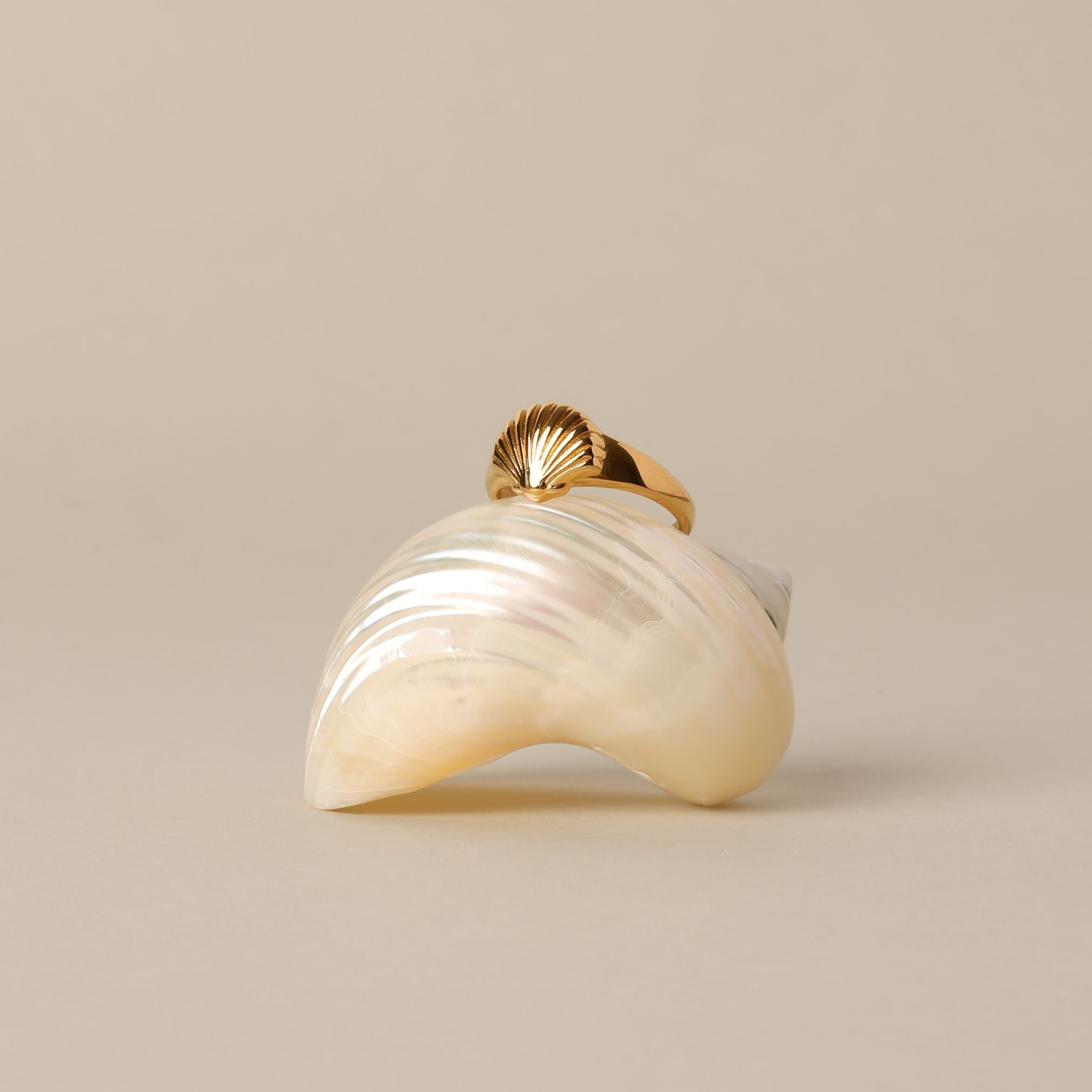 Conch Shell Ring