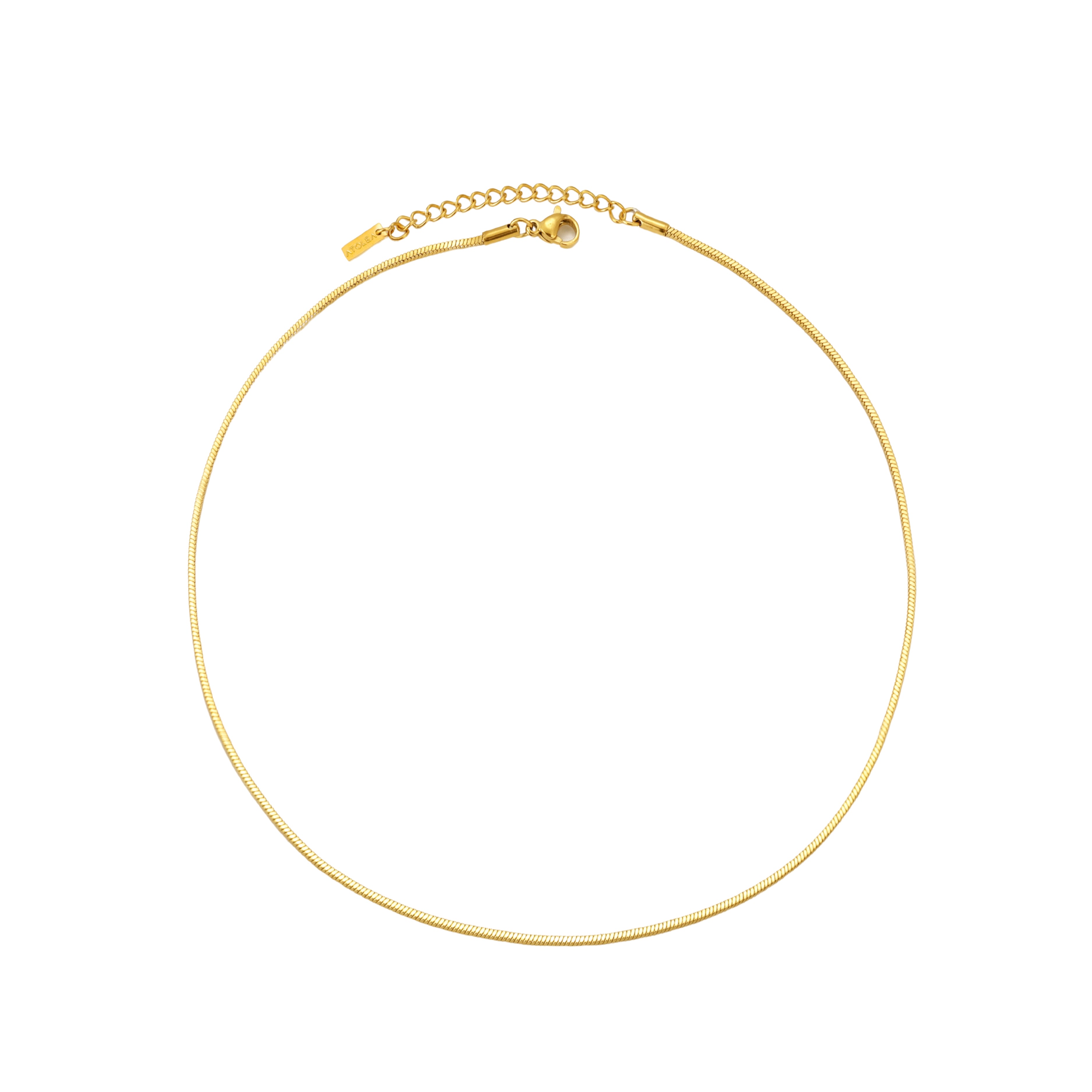 Golden Fine Choker