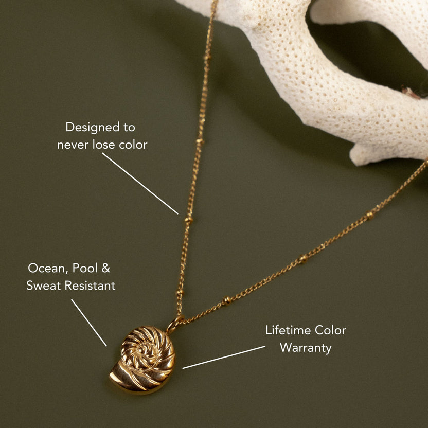 Nautilus Charm Leather Necklace
