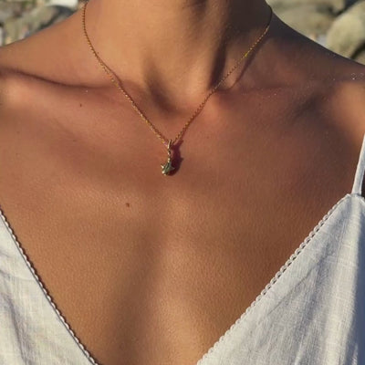 Whale Shark Silver Necklace Video Preview