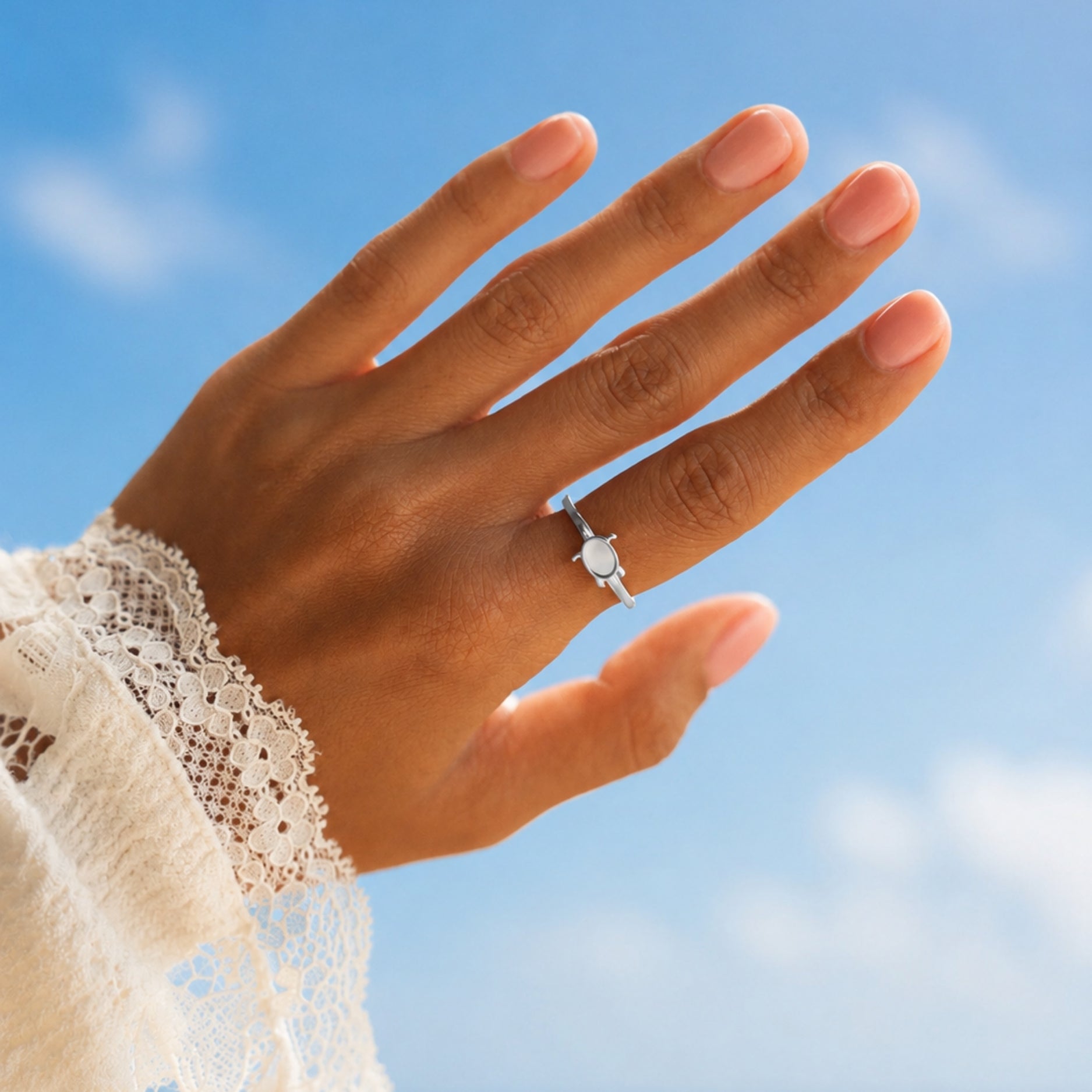 Sea Turtle Ring Nature