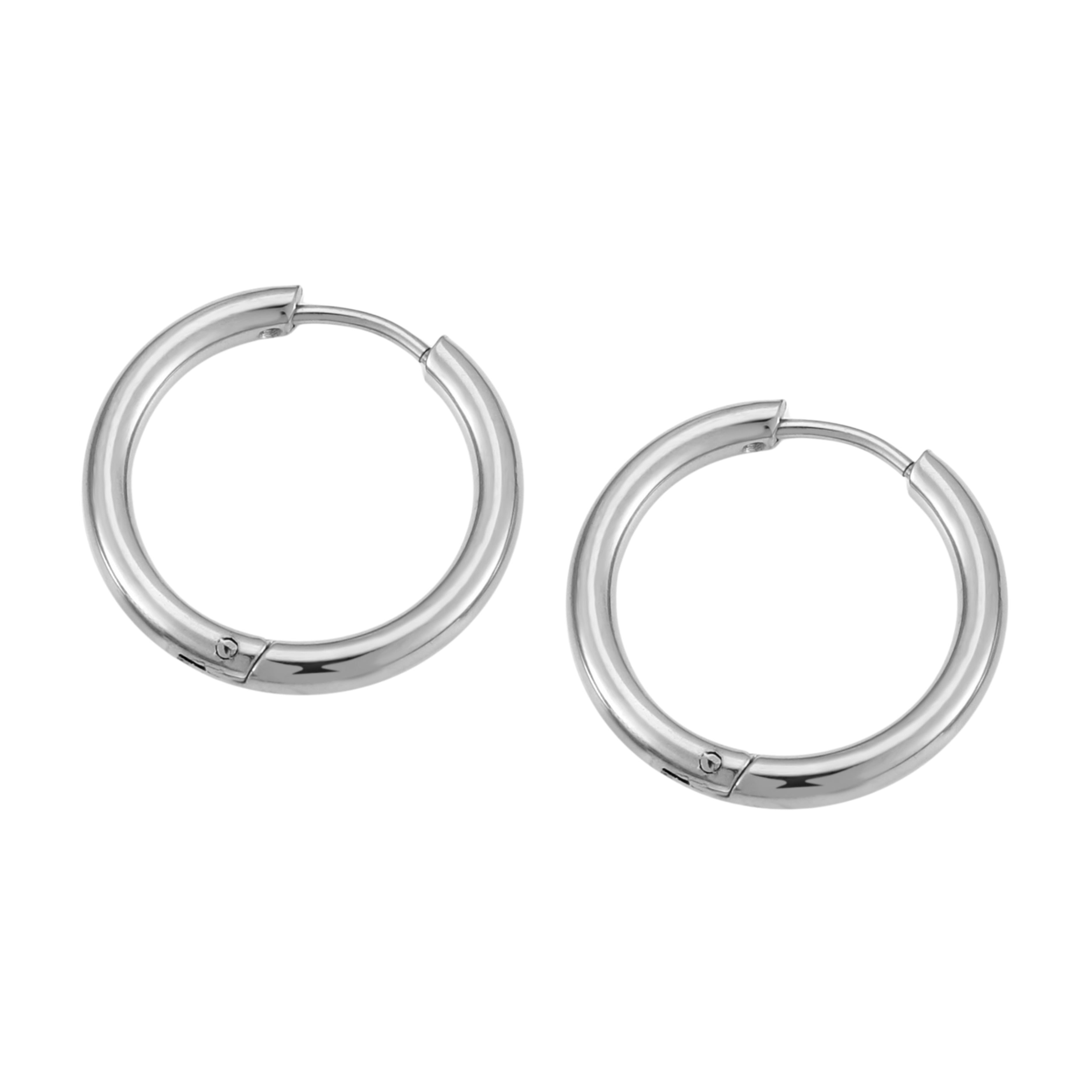 Silver Classic earrings