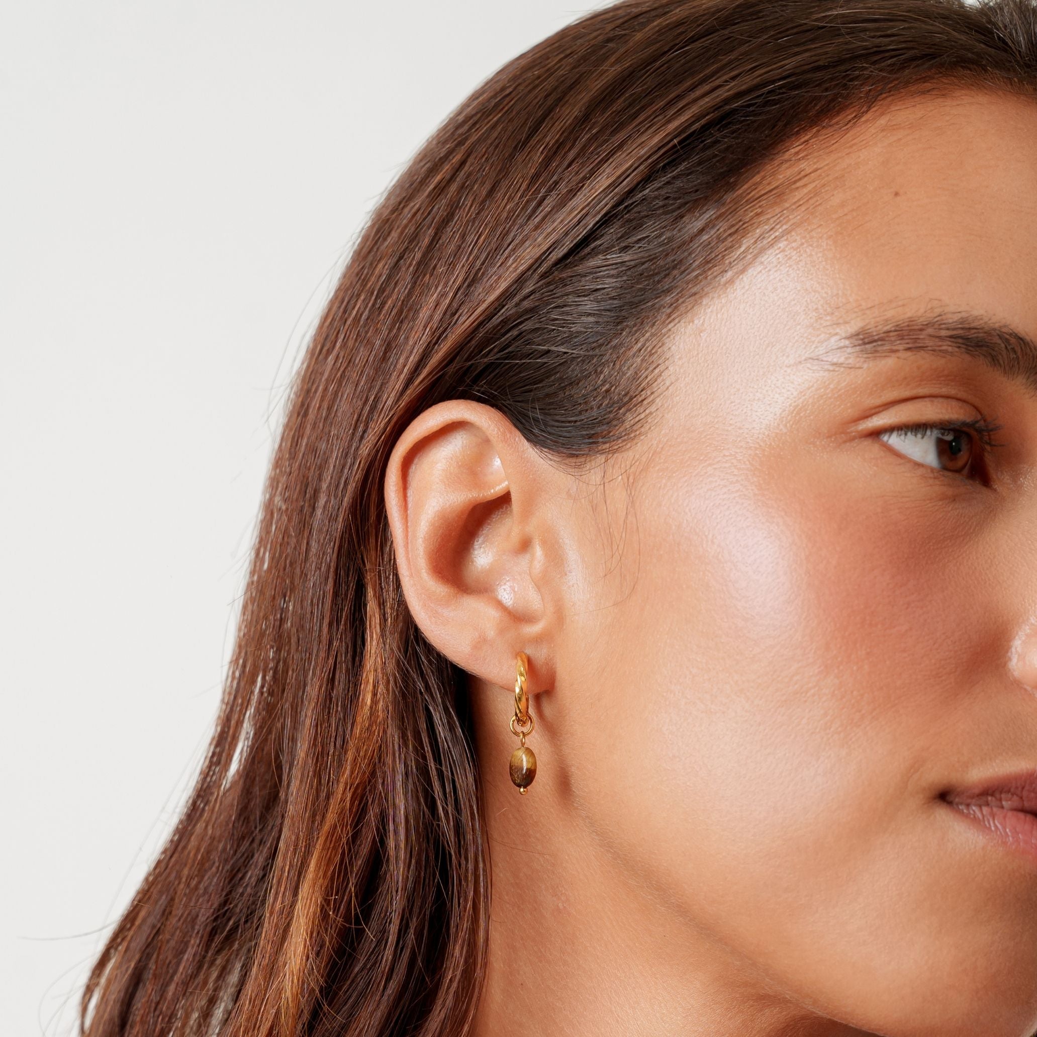 Gold Whale Tail Earrings