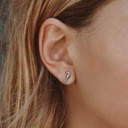 Silver Seahorse earrings